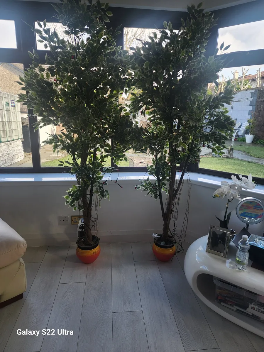 Artificial trees Indoor use - Image 1