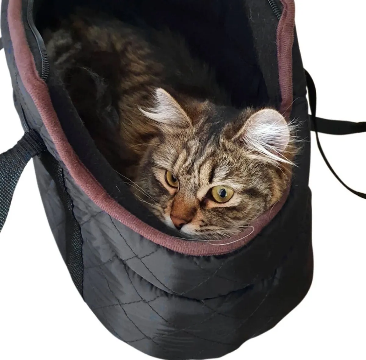 Quilted Pet Carrier Small Dog Puppy Cat Travel Bag - Image 2