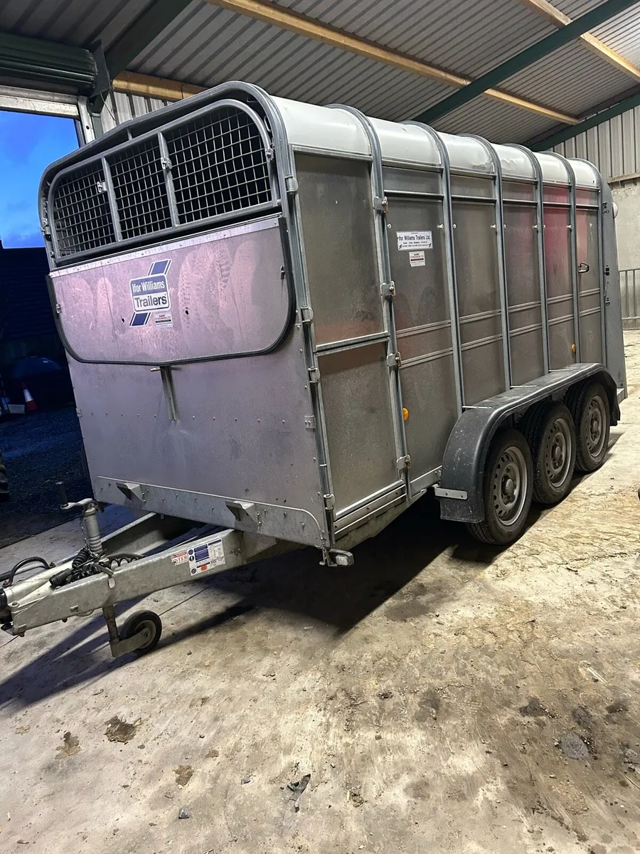 Ifor Williams 12x6 tri axle - Image 1