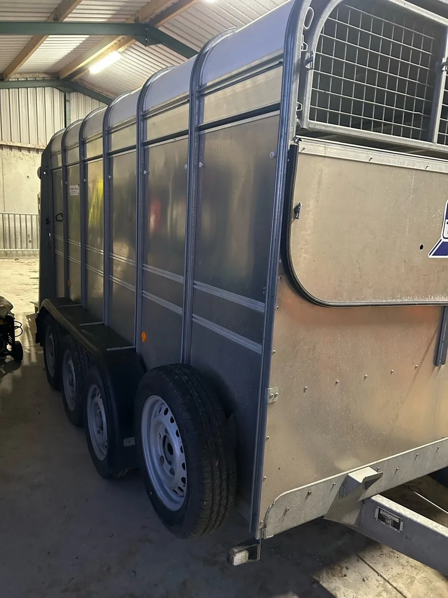 Ifor Williams 12x6 tri axle - Image 3