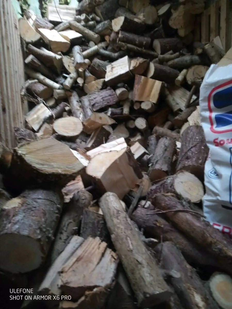 Fire wood - Image 4