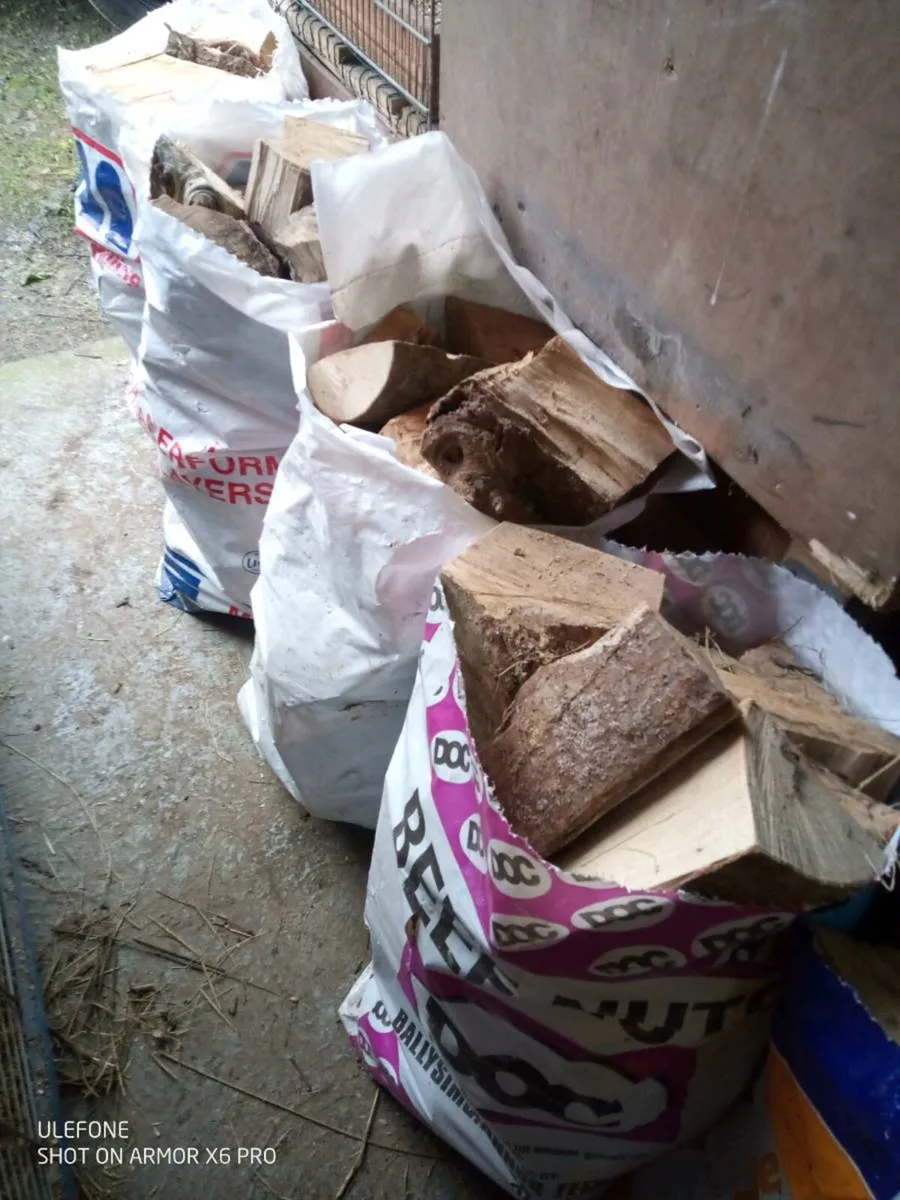 Fire wood - Image 1