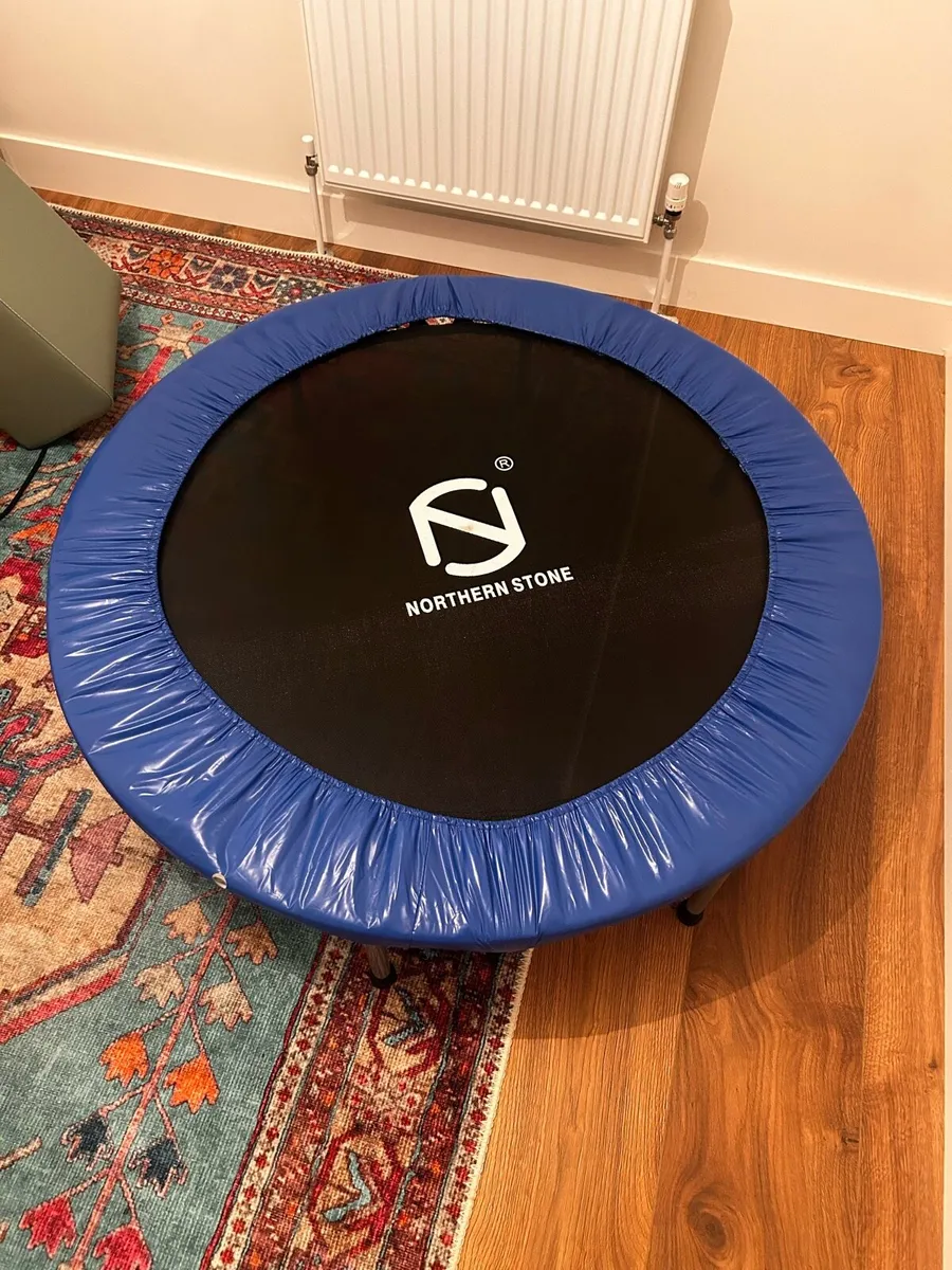 Rebounder - Image 1