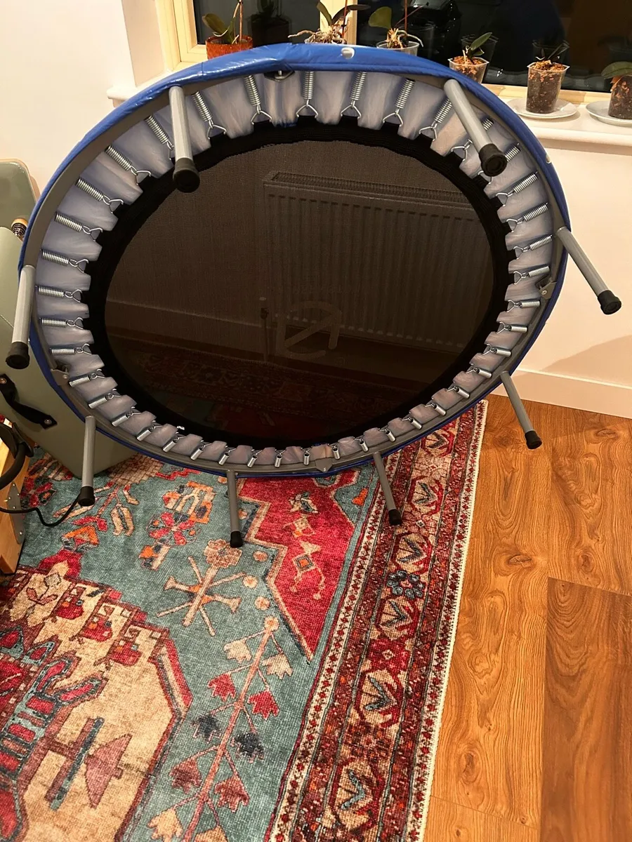 Rebounder - Image 2