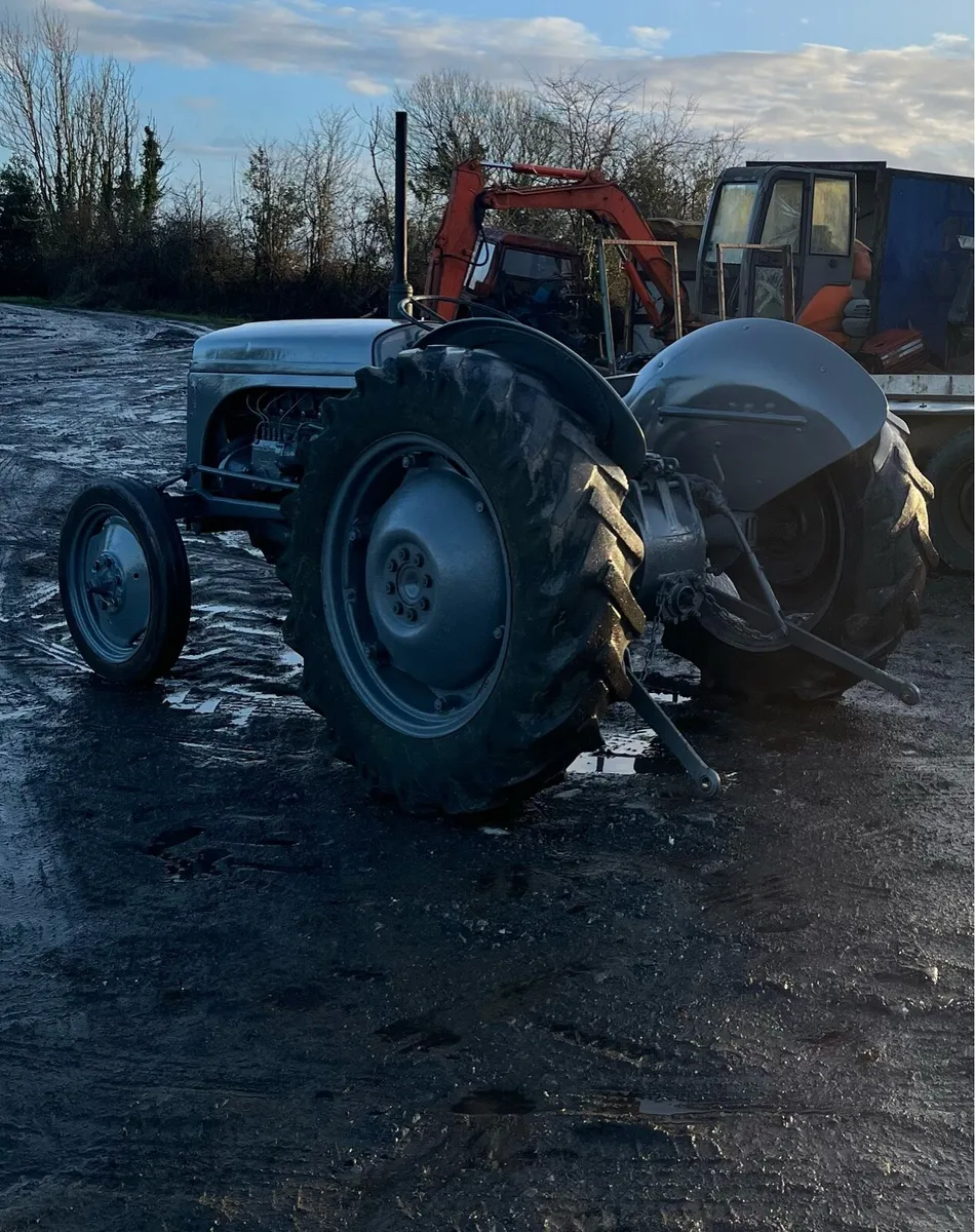 Massey Ferguson 20 diesel - Image 2