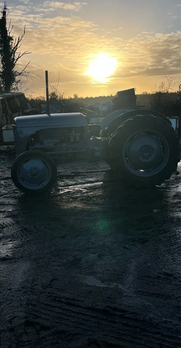 Massey Ferguson 20 diesel - Image 3