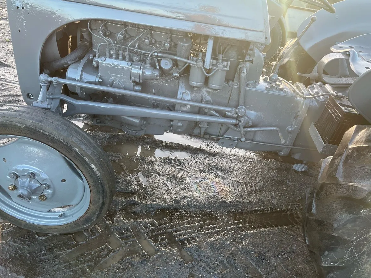 Massey Ferguson 20 diesel - Image 4