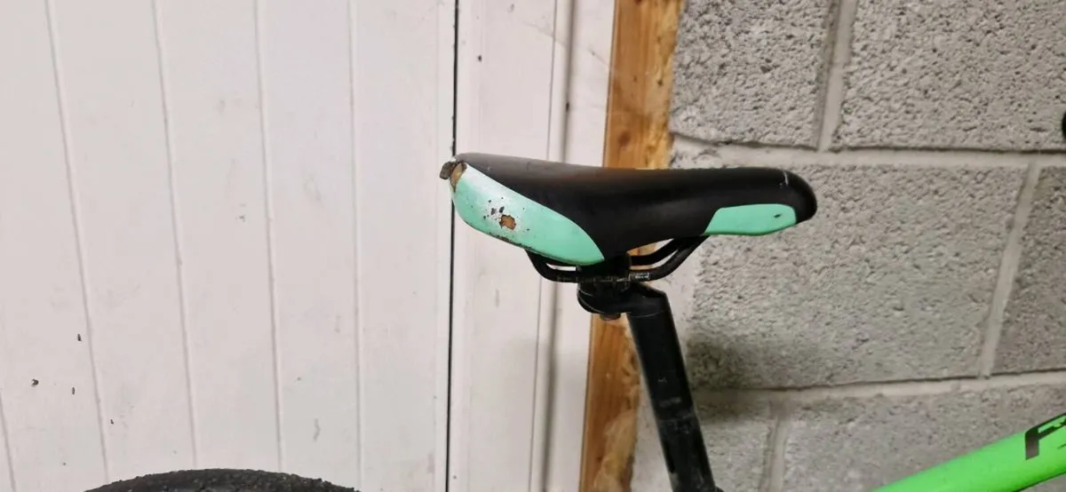 Giant Arx 20 - Image 3