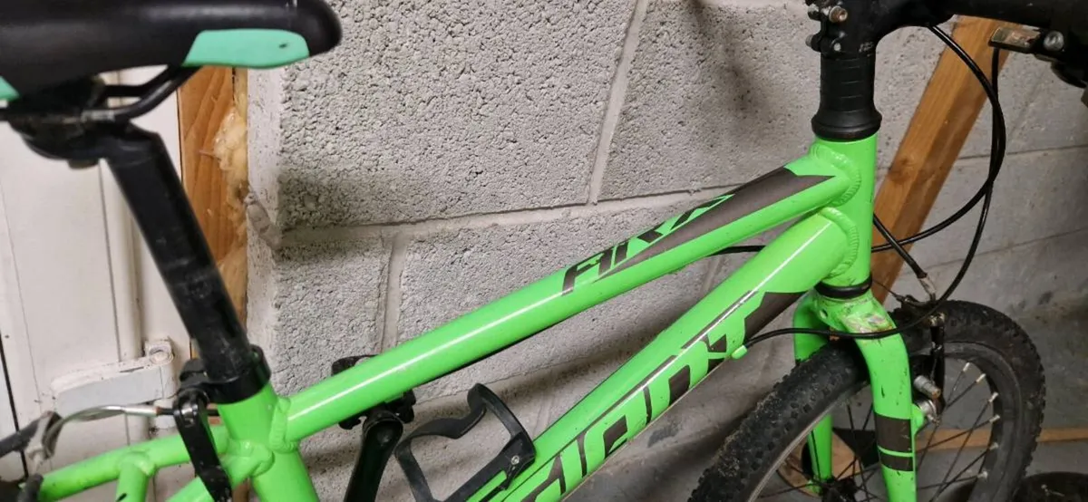 Giant Arx 20 - Image 4