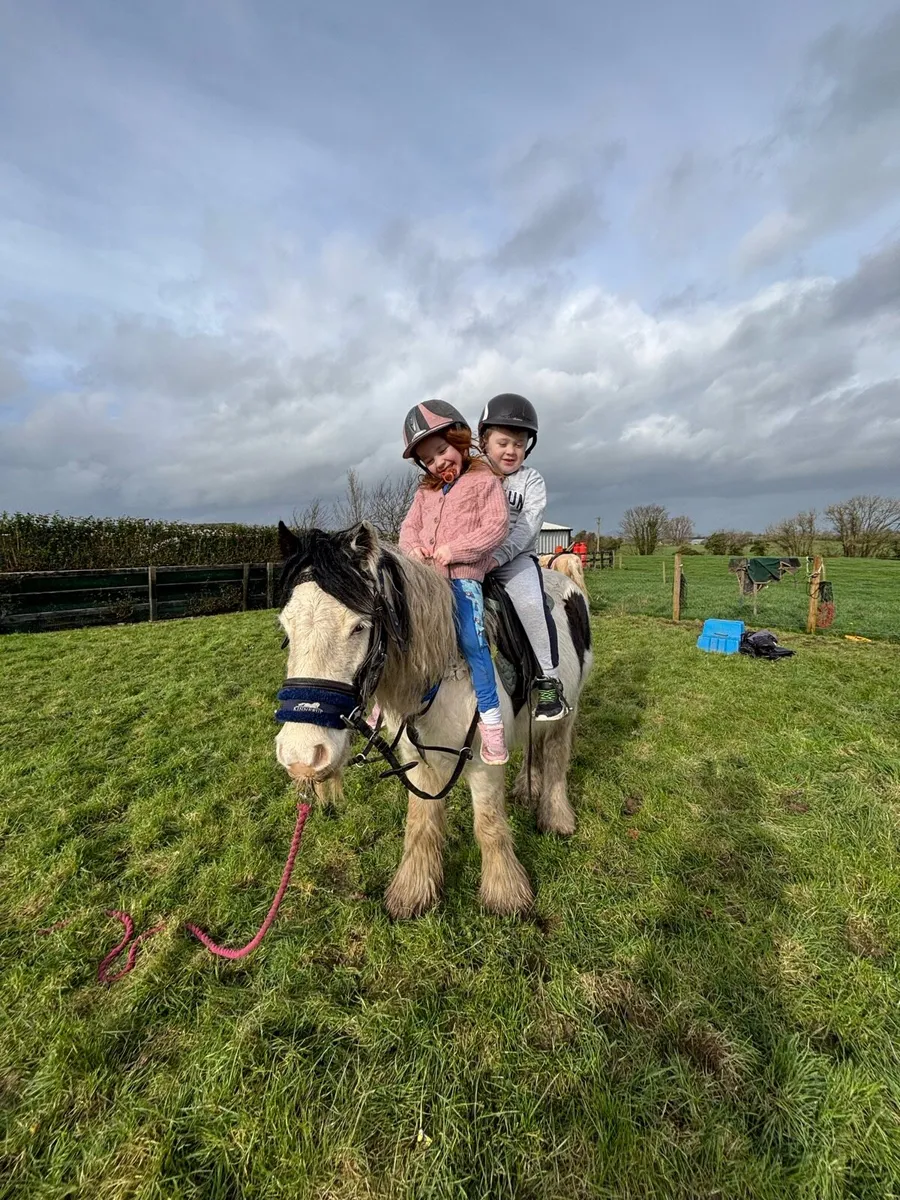 Quietest little pony - Image 1