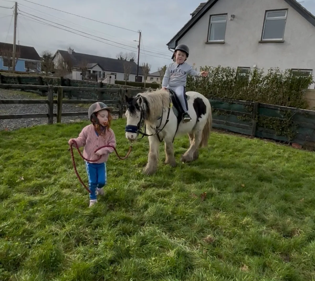 Quietest little pony - Image 2