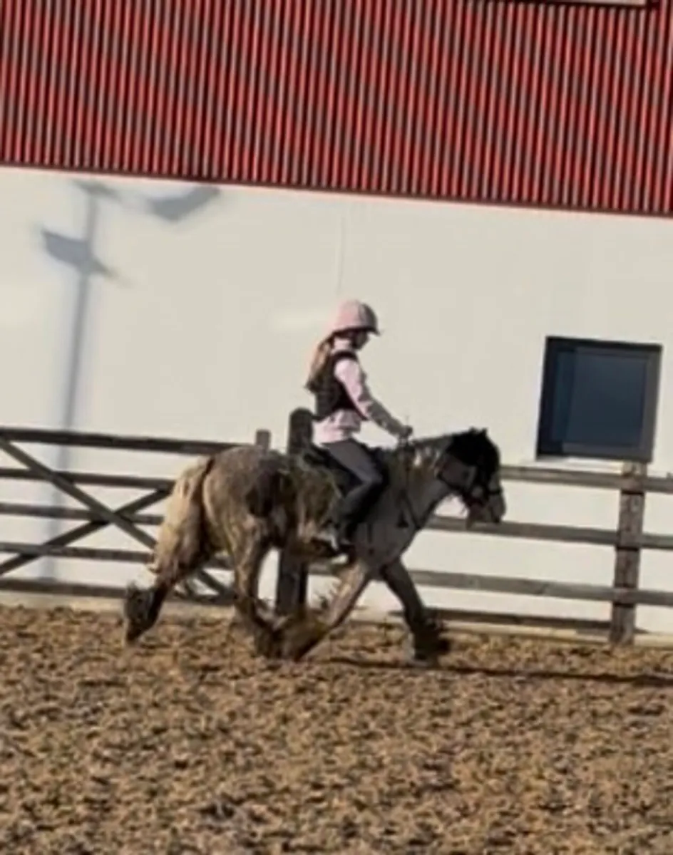 Quietest little pony - Image 4