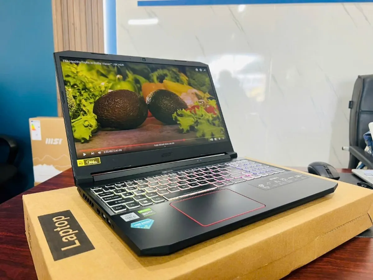 Acer Nitro 5 AN515-55 Gaming Laptop