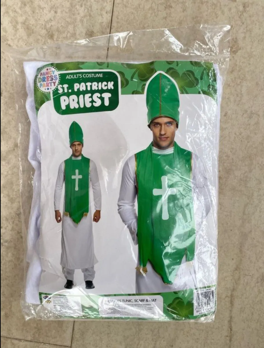 St. Patrick’s Day Costume - Image 2