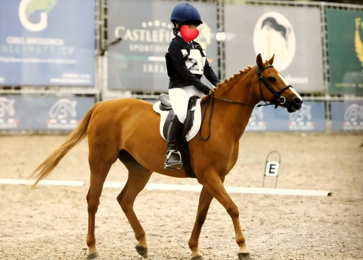 Mayfield Milly Molly - Image 3