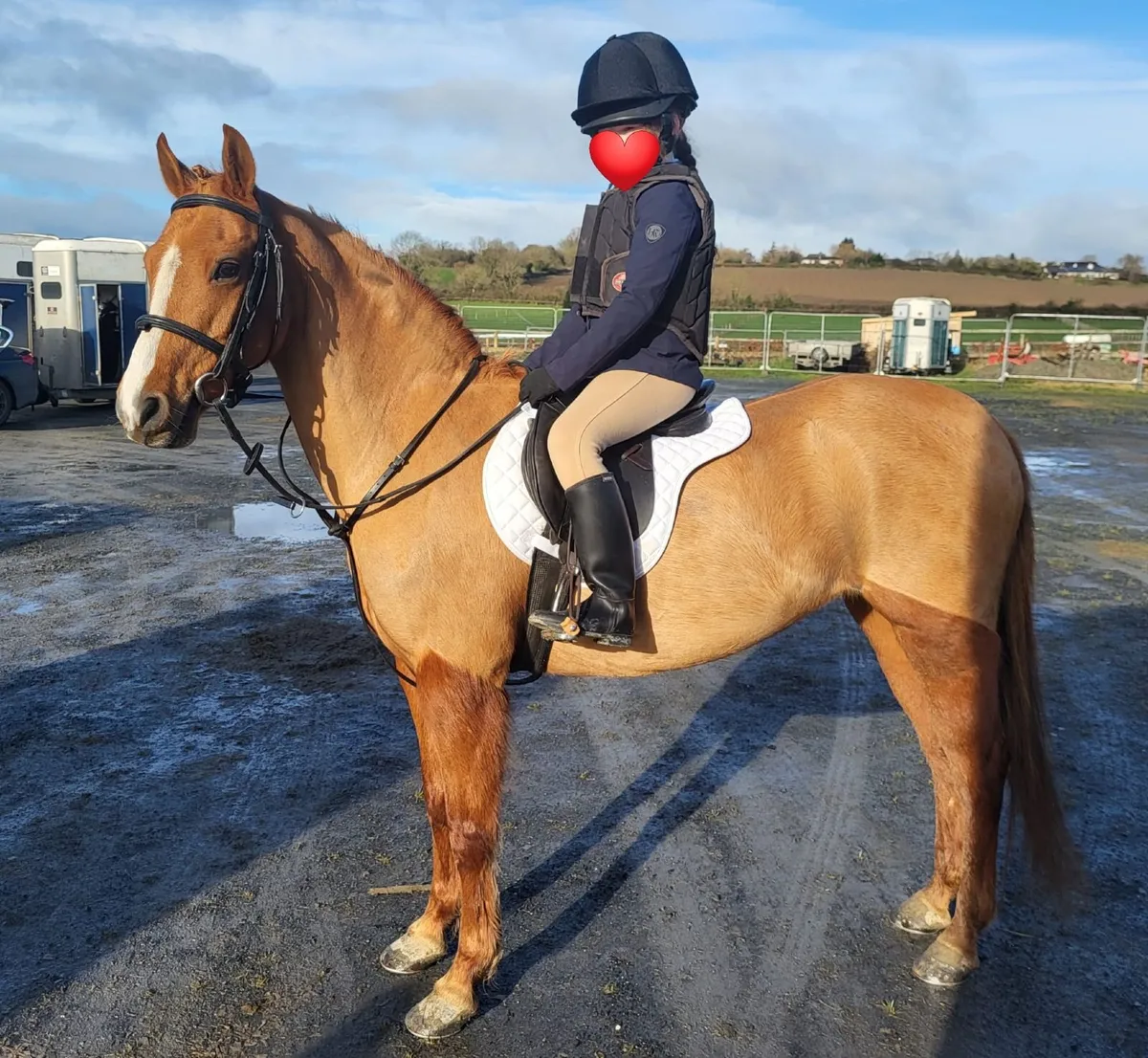 Mayfield Milly Molly - Image 4