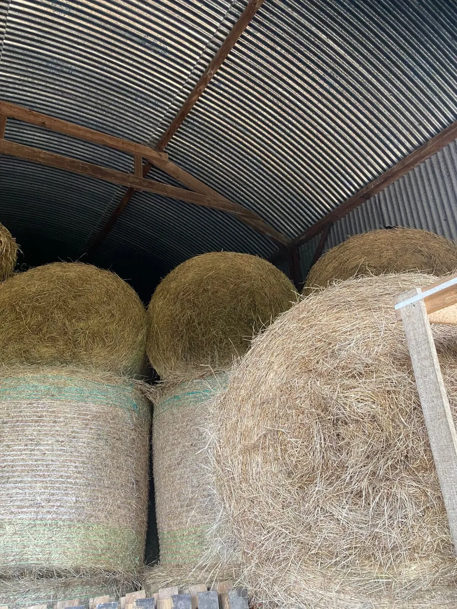 Hay/Straw