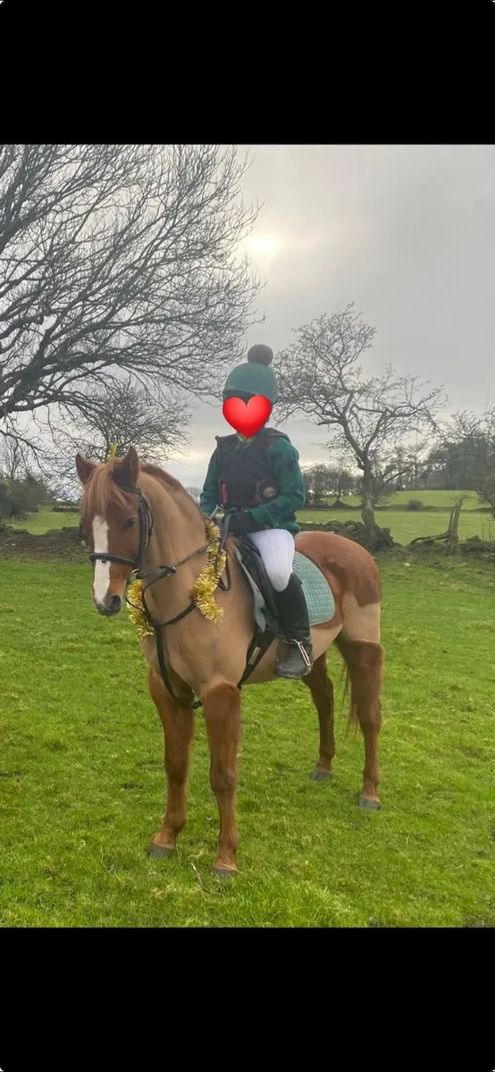 Mayfield Milly Molly - Image 2