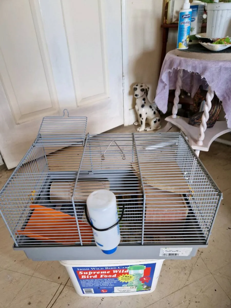 Hamster cage - Image 1