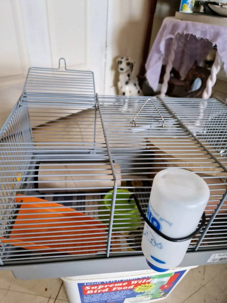 Hamster cage - Image 3