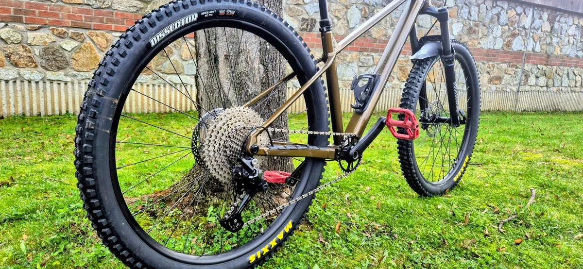 Orbea Laufey Mountain bike (almost new) - Image 3