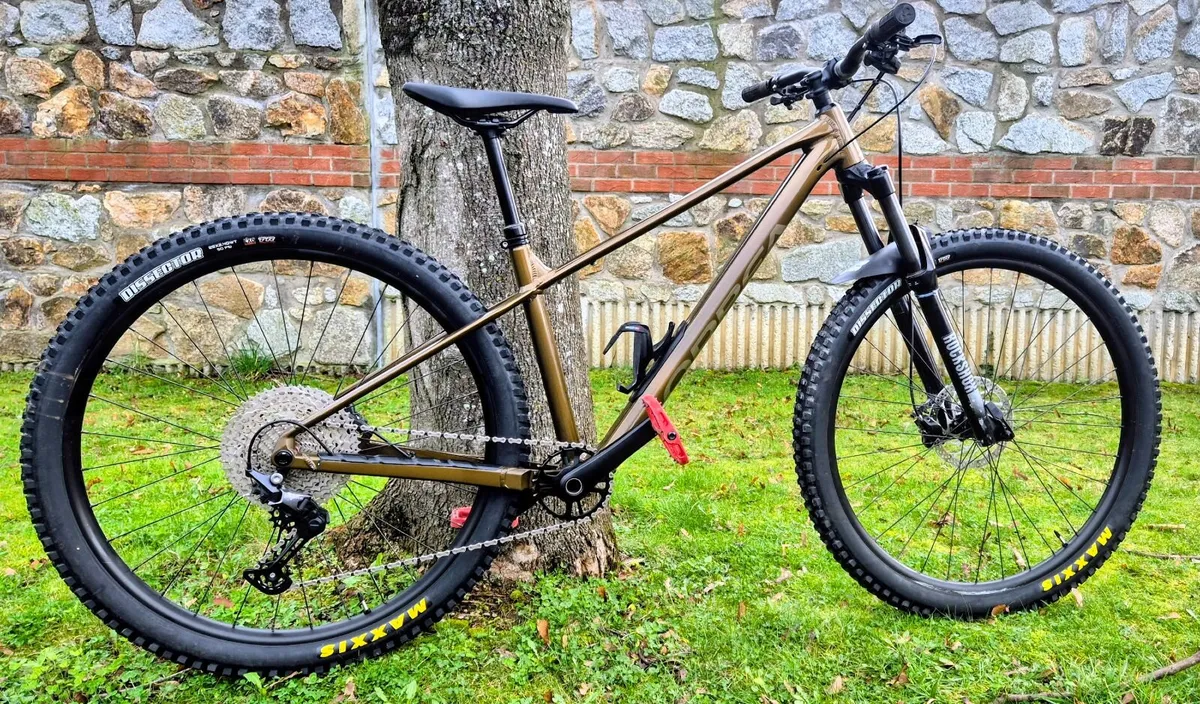 Orbea Laufey Mountain bike (almost new) - Image 1