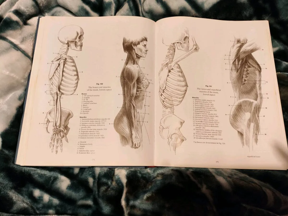 Anatomy Drawing School – András Szunyoghy & György - Image 1