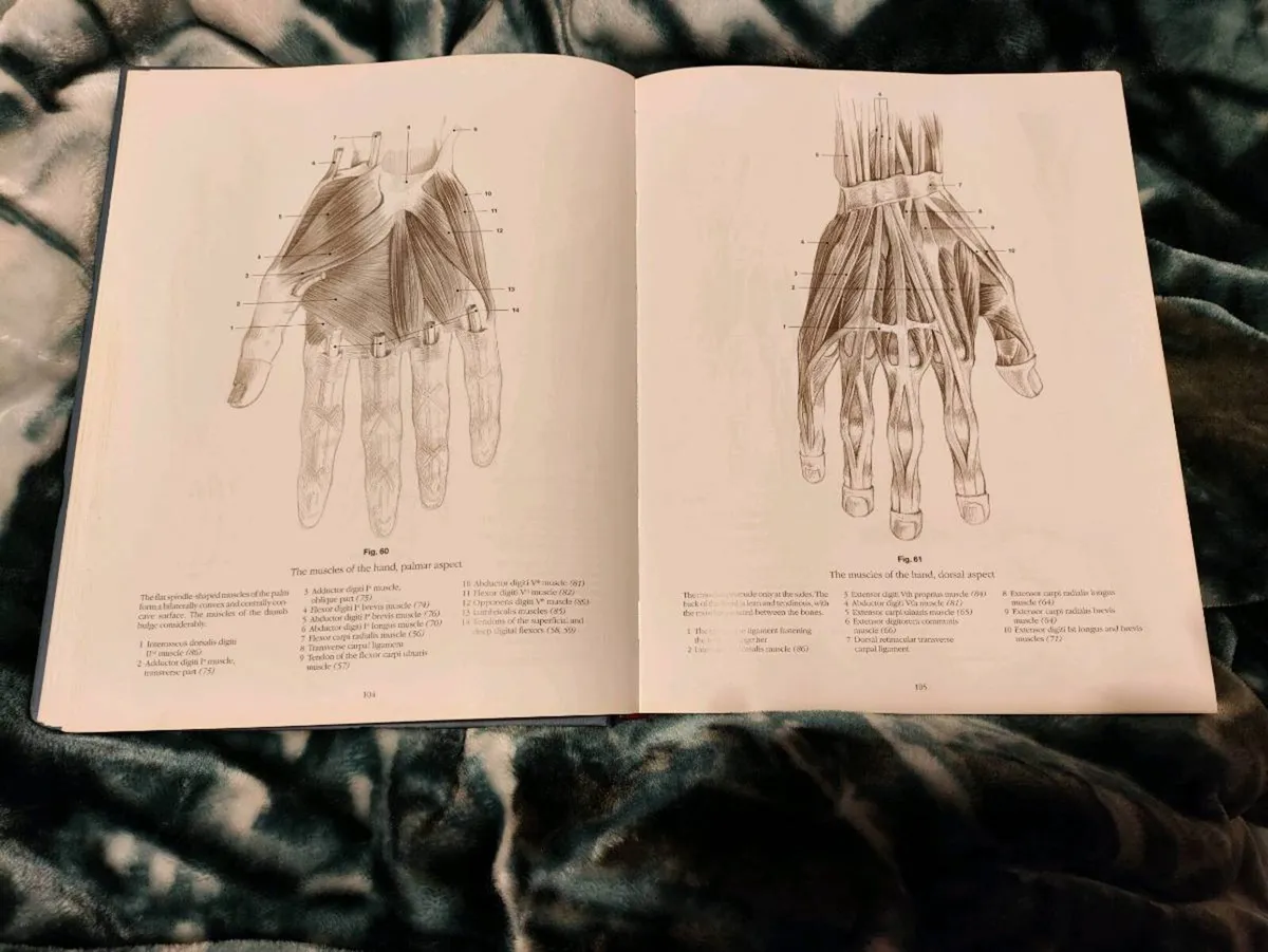 Anatomy Drawing School – András Szunyoghy & György - Image 2