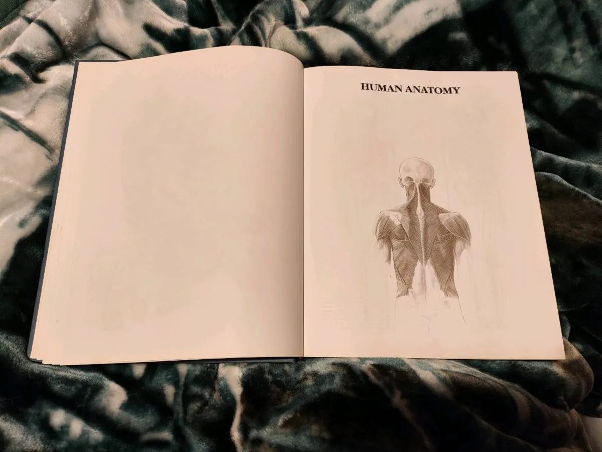 Anatomy Drawing School – András Szunyoghy & György - Image 4