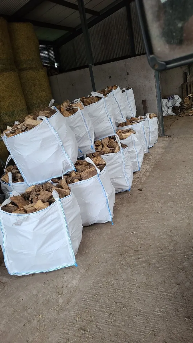 Ash Firewood - Image 4