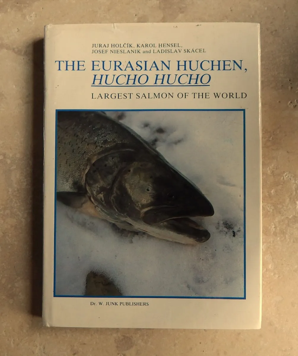 Rare Edition of The Eurasian Huchen Salmon - Image 1