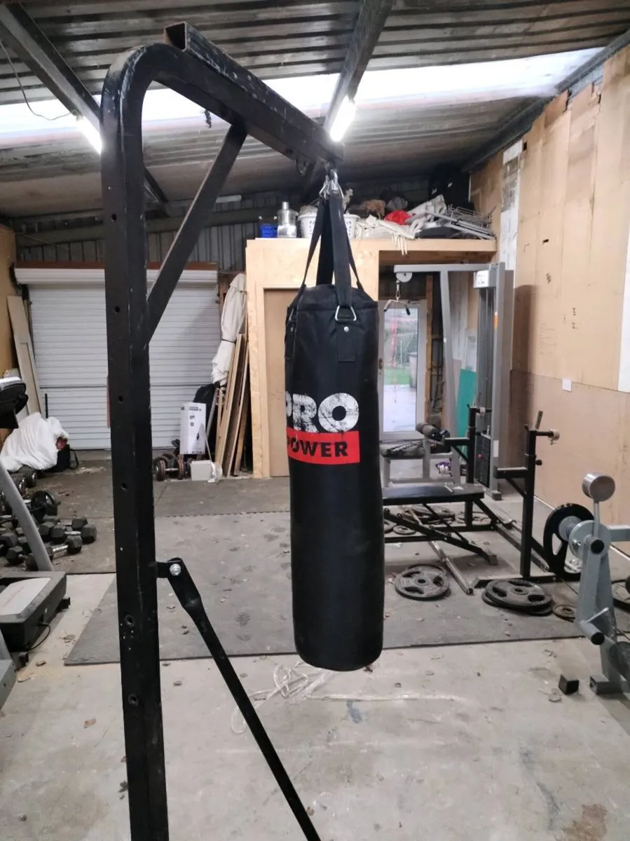 Boxing bag - Image 2