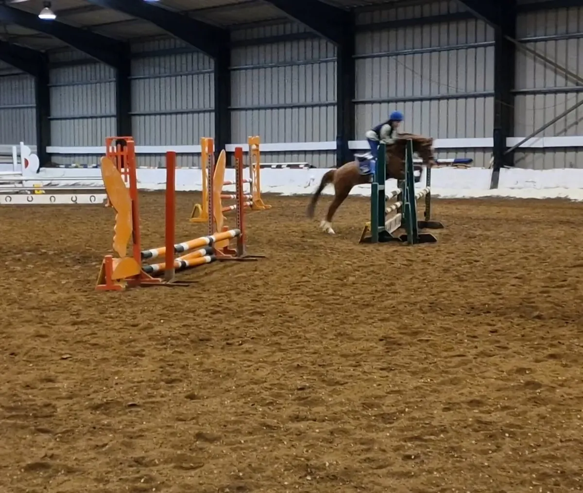 128cm Grade B -Cavan Sales Thursday 26th February - Image 2