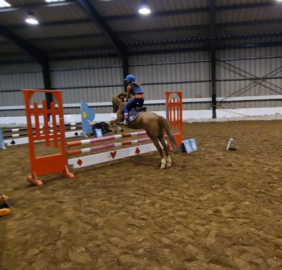 128cm Grade B -Cavan Sales Thursday 26th February - Image 1