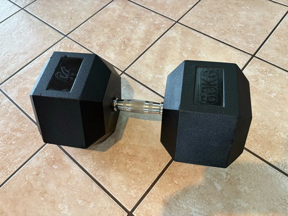 60KG RUBBER HEX DUMBBELL - CHEAP, STRONGMAN!! - Image 3
