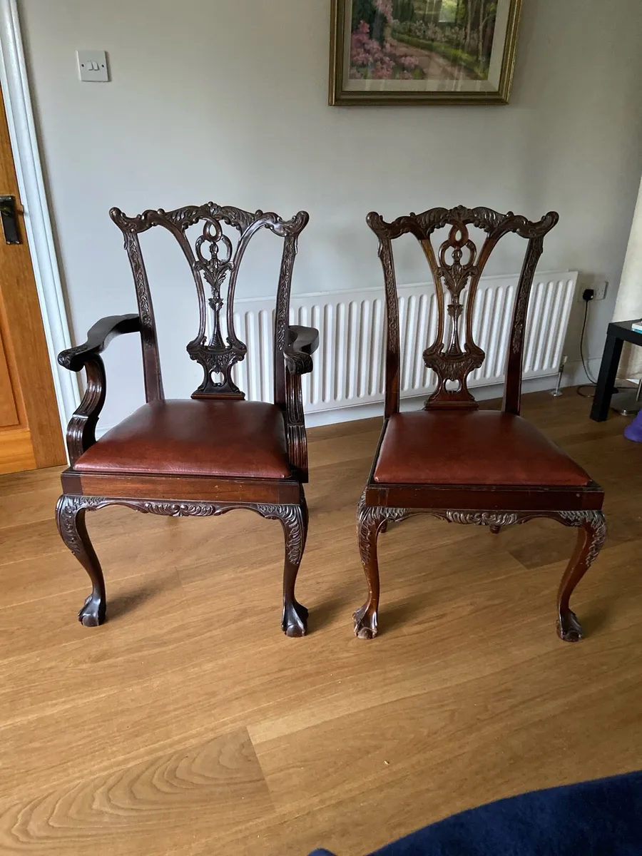 Dining room Chairs