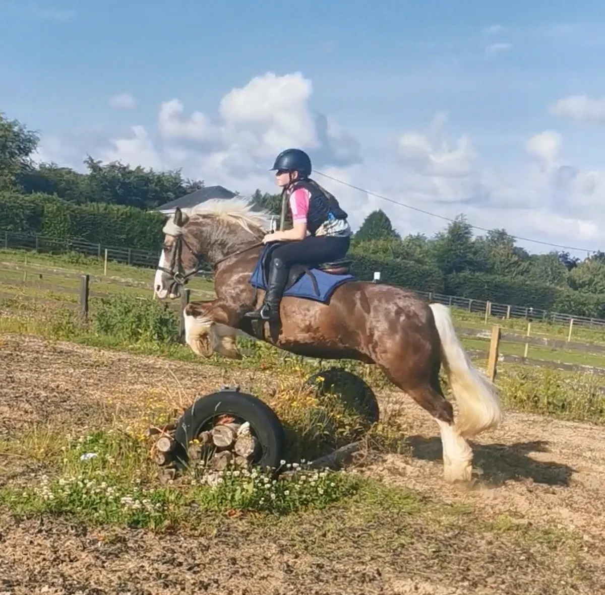 🇮🇪 Lot 26 Goresbridge Horse-Sales 4th March 🇮🇪 - Image 1