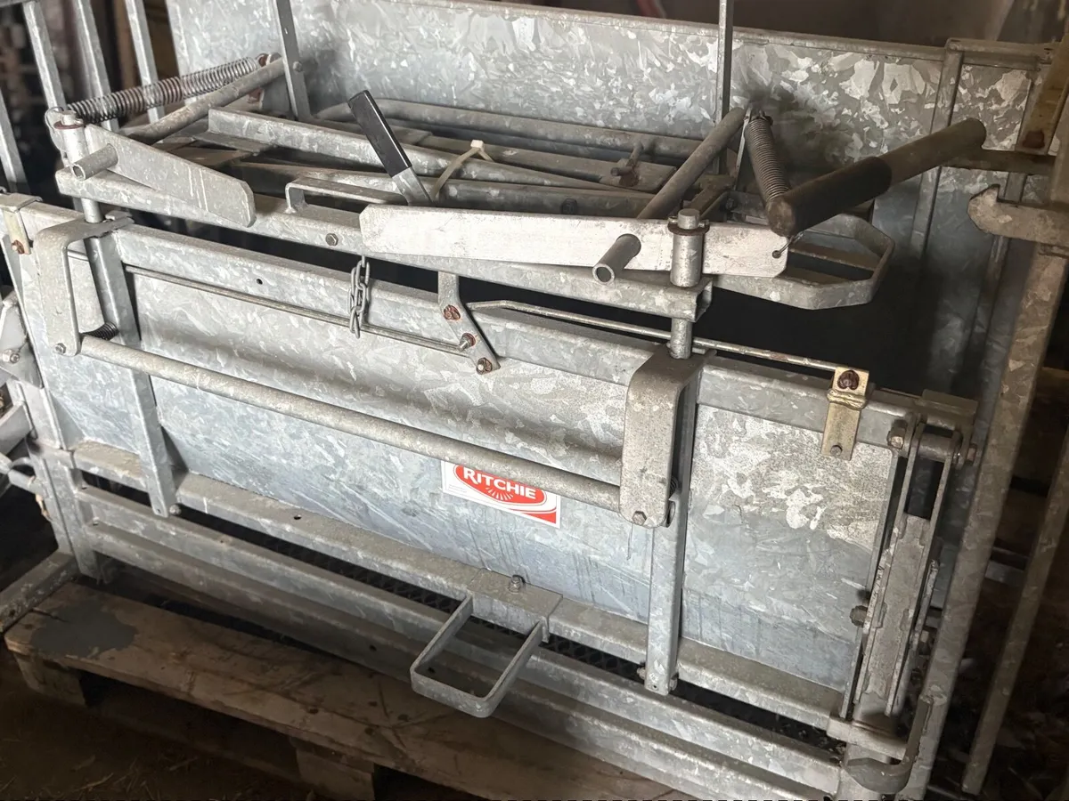 Ritchie sheep turn over crate - Image 1