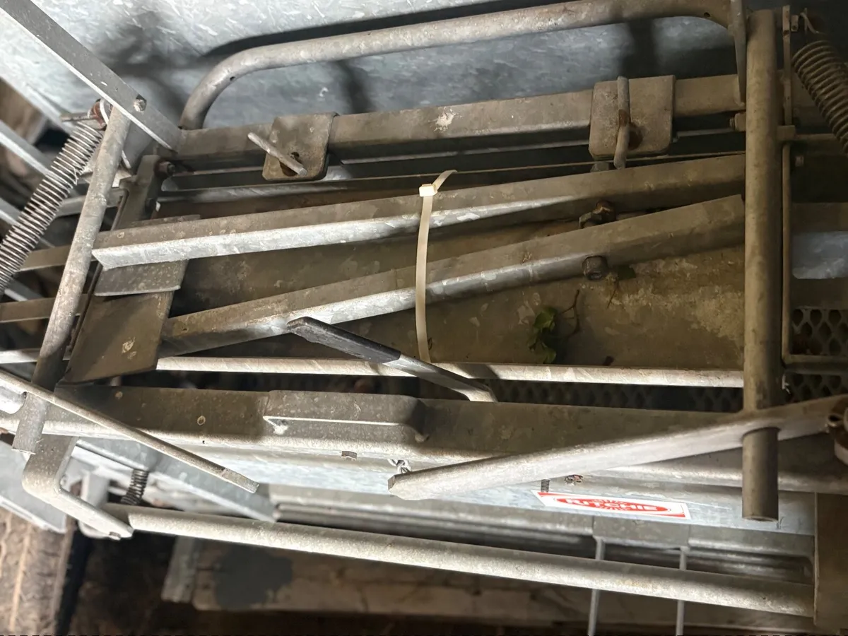 Ritchie sheep turn over crate - Image 3