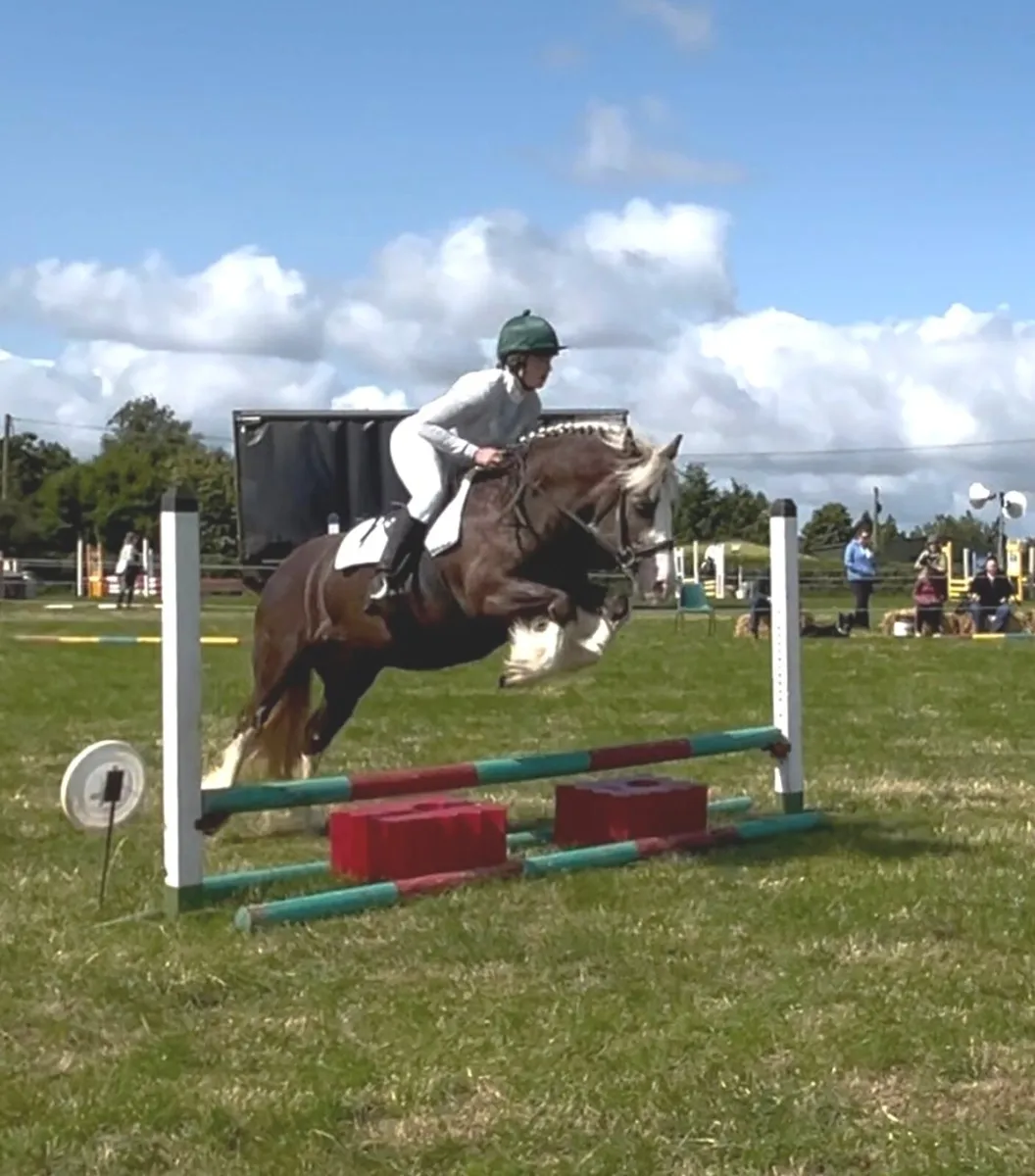 🇮🇪 Lot 26 Goresbridge Horse-Sales 4th March 🇮🇪 - Image 3