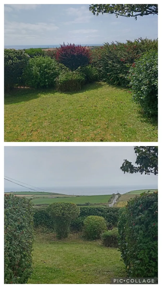 Garden Maintenance/Power Washing - Image 3