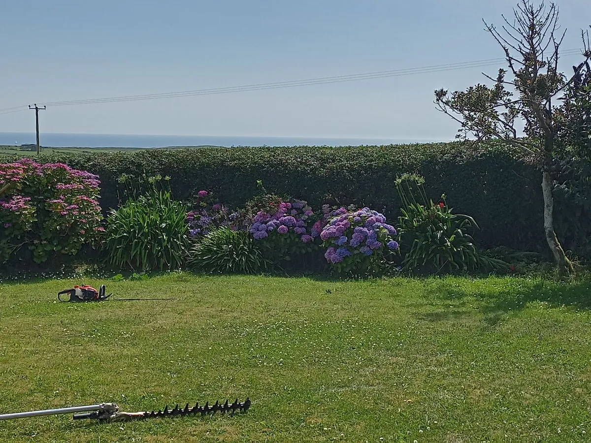 Garden Maintenance/Power Washing - Image 1