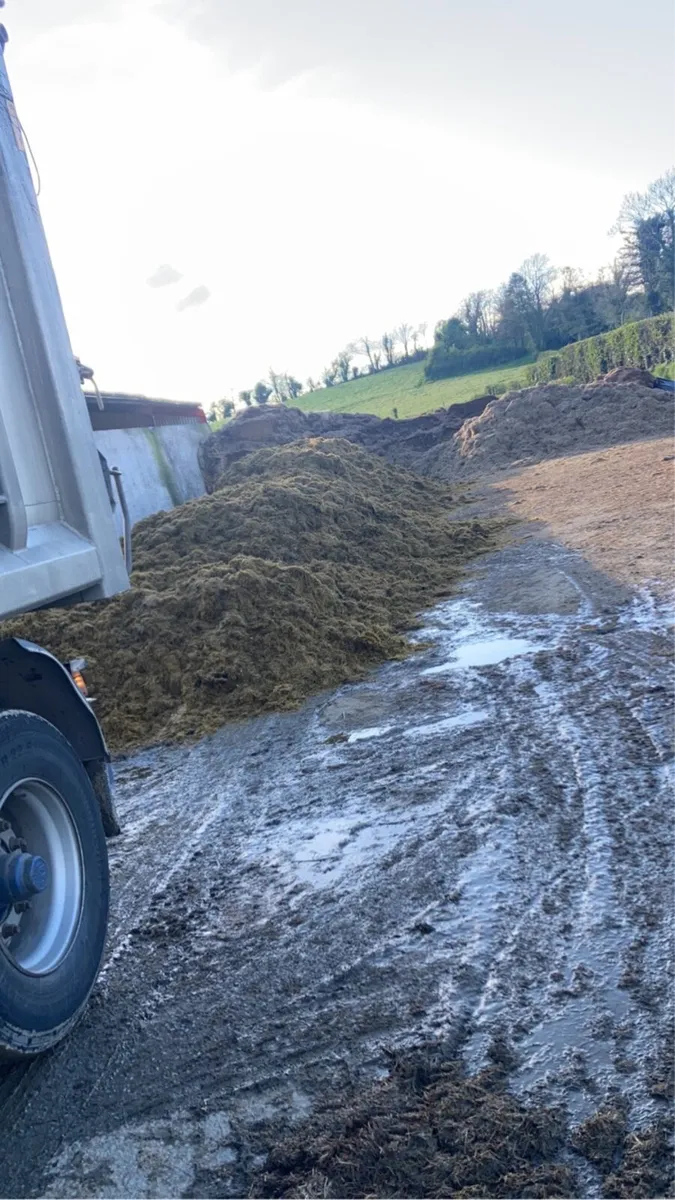 Pit silage - Image 1