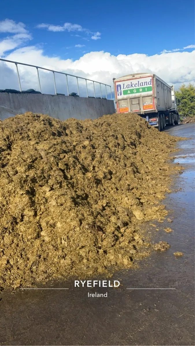 Pit silage - Image 2