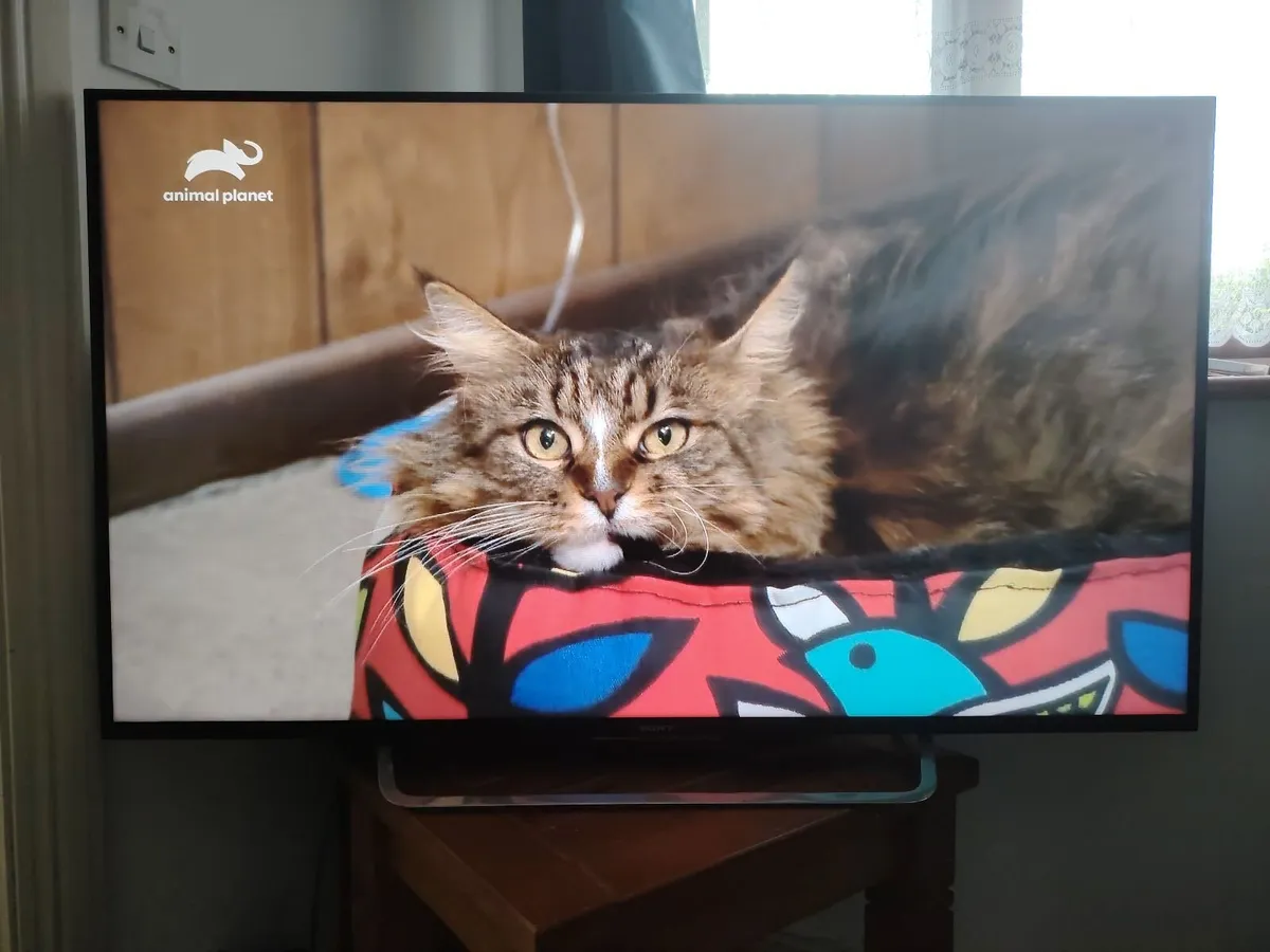 Sony tv 55 inch 4k - Image 2