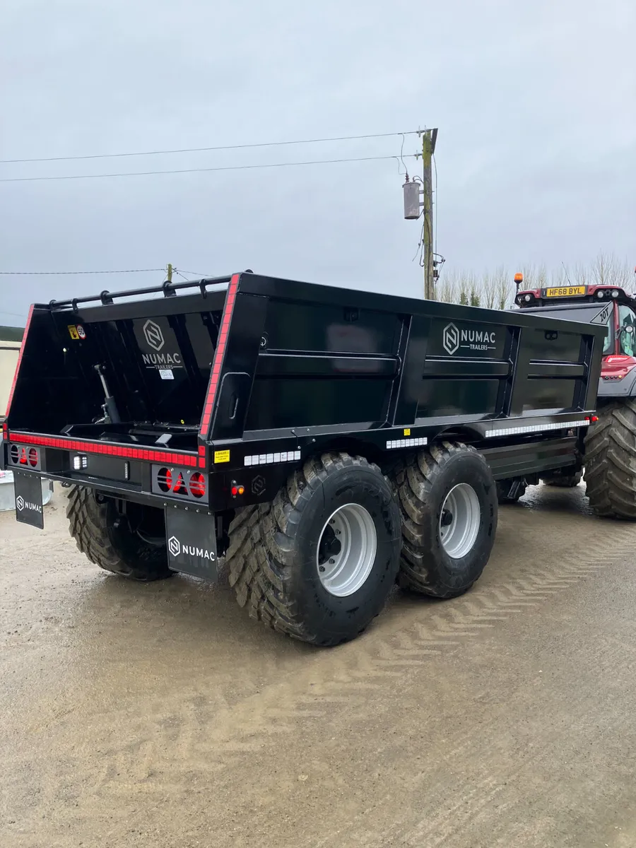IN STOCK Numac Dumper - Image 3