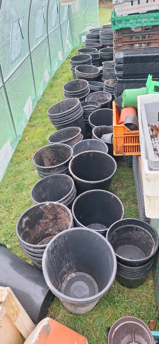 Flower pots - Image 2