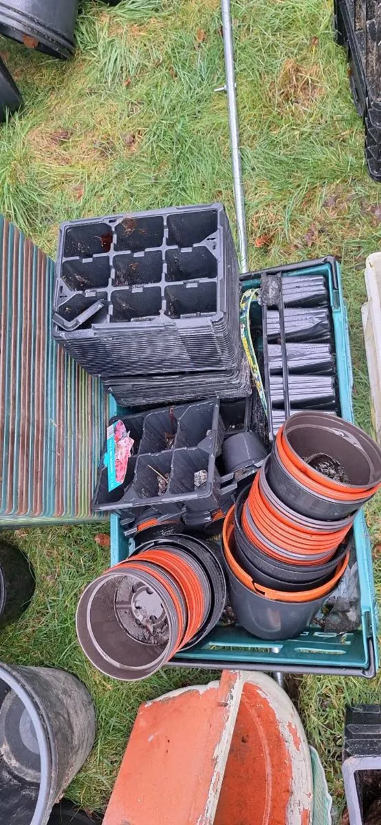 Flower pots - Image 3