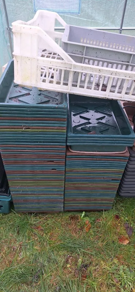 Flower pots - Image 4