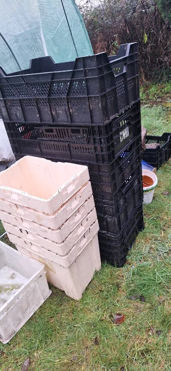 Flower pots - Image 1